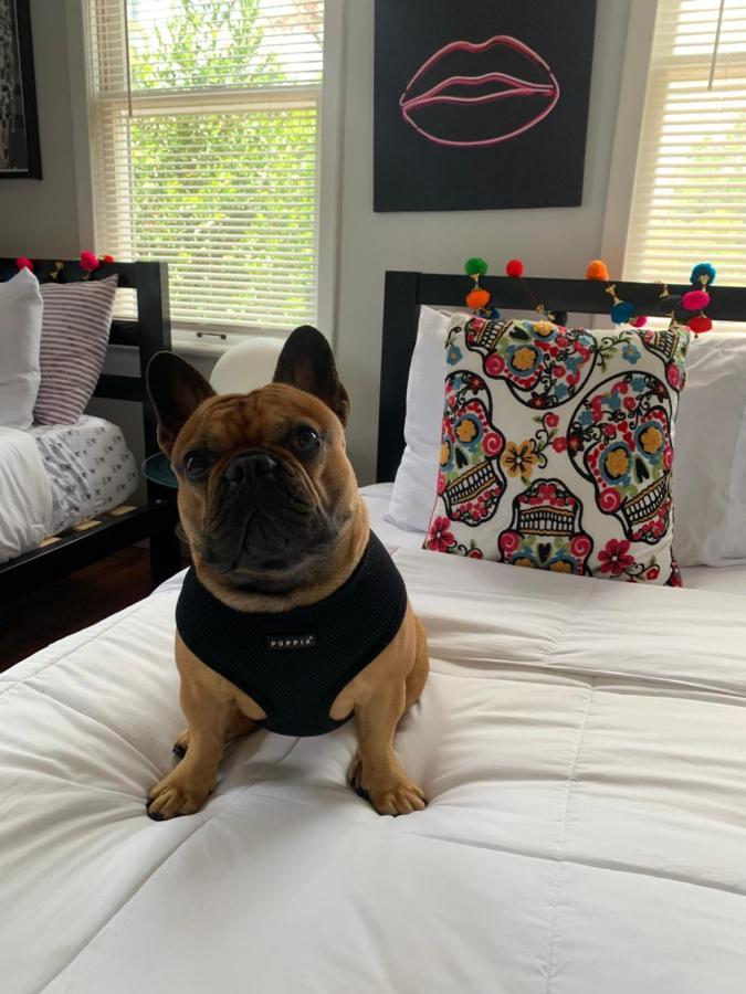 Villa Vibing In The Heights/Breweries/Food/Petfriendly Tampa Esterno foto